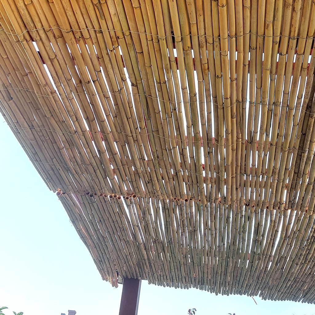 Bambu Çatı ile Doğal ve Tropik Mekanlar Yaratın